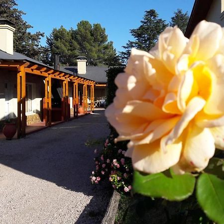 Complejo Las Calandrias Villa Sierra de la Ventana Dış mekan fotoğraf